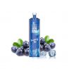 AROMA KING - Blueberry Ice - 12 000 taffs